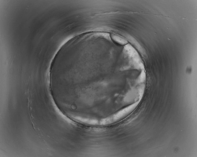 X0000093721095200711060932