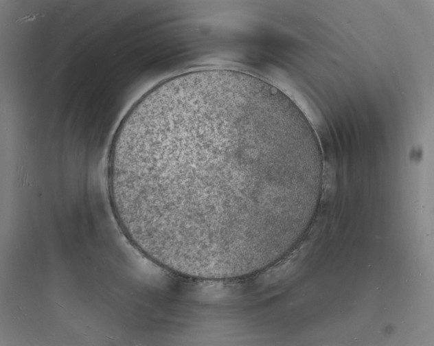 X0000093721098200711060932