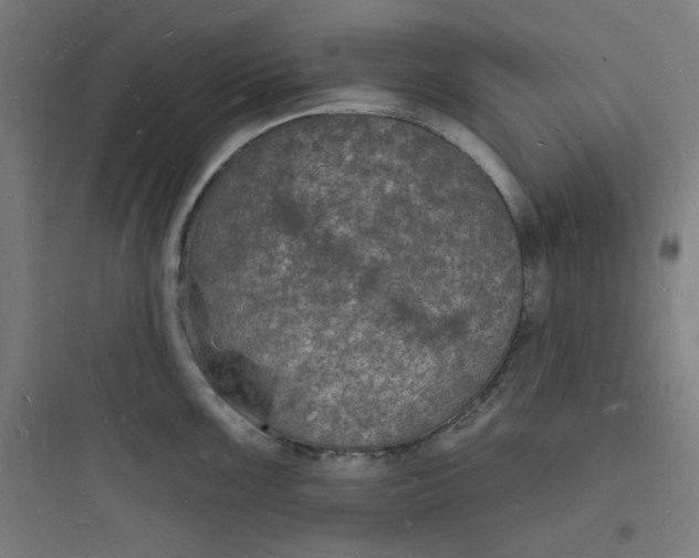 X0000093721099200711060932