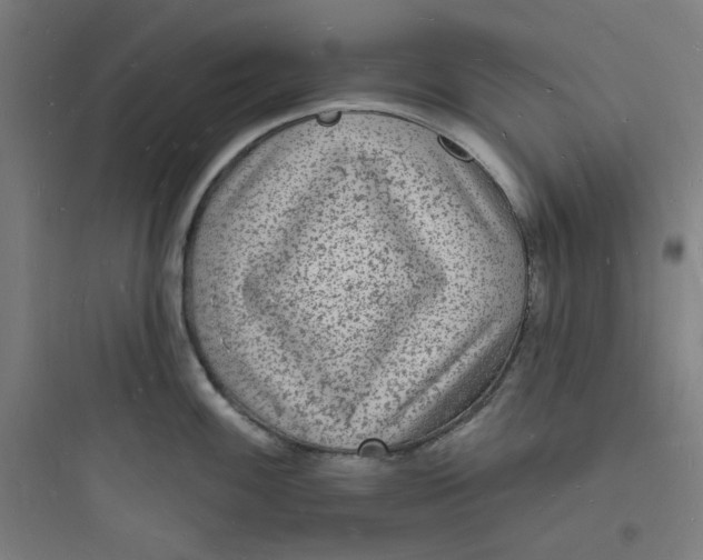 X0000093721100200711060932