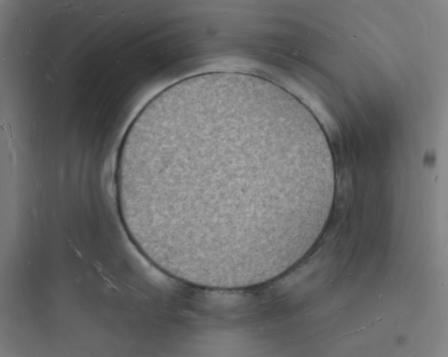 X0000093721103200711060931