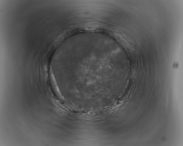 X0000093721106200711060931