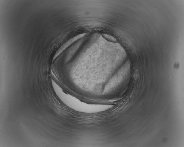 X0000093721108200711060931