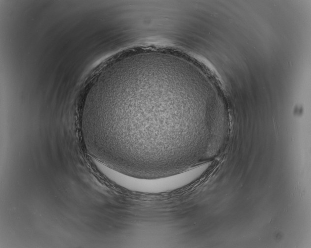 X0000093721112200711060931