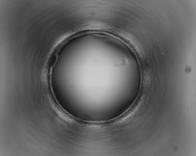 X0000093721114200711060931