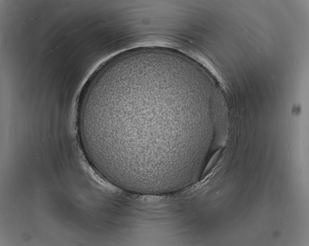 X0000093721116200711060931