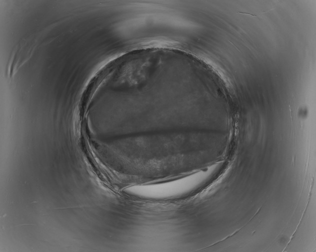 X0000093721117200711060931