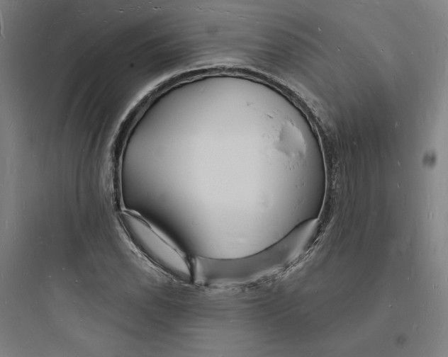 X0000093721118200711060931