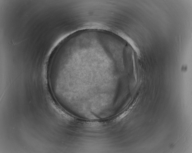 X0000093721120200711060931