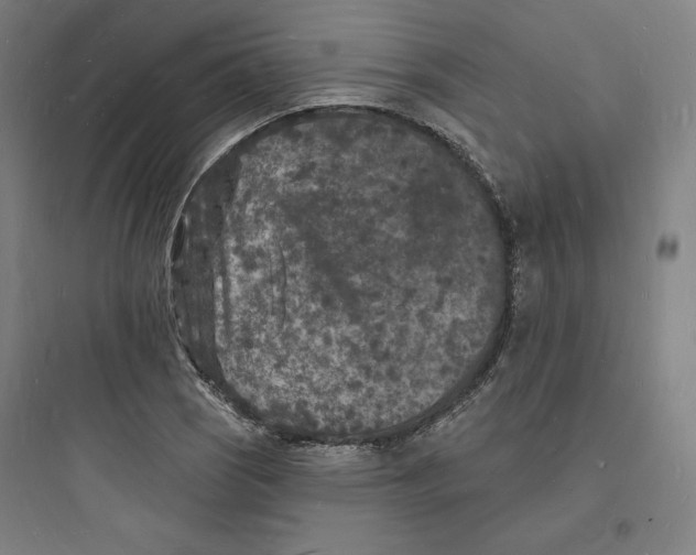 X0000093721121200711060931