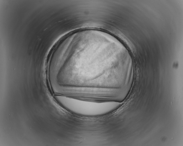 X0000093721124200711060931