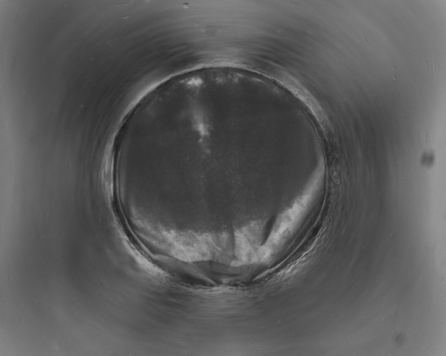 X0000093721127200711060931