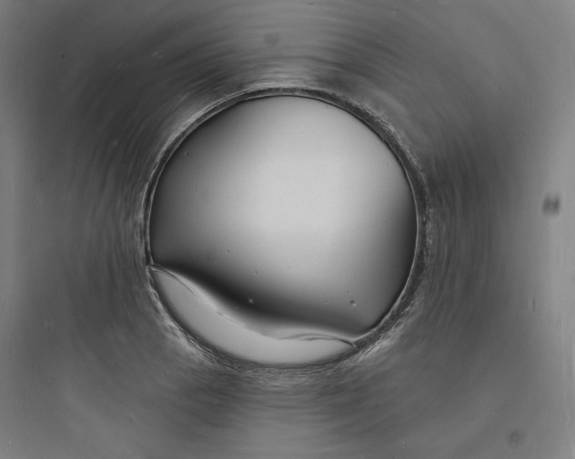 X0000093721129200711060931