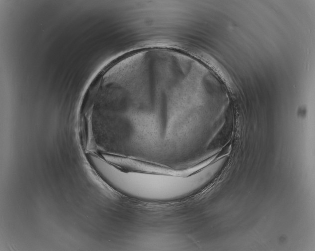 X0000093721132200711060931