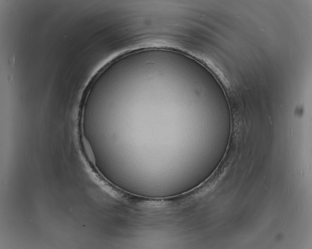 X0000093721134200711060931