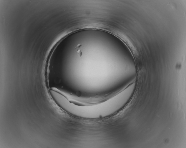 X0000093721138200711060931