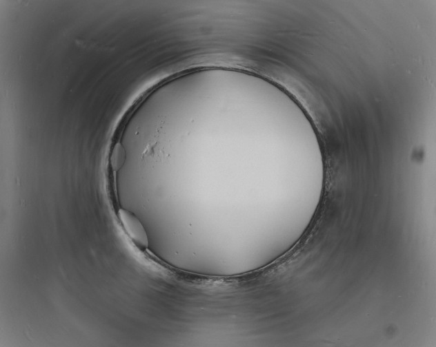 X0000093721139200711060931