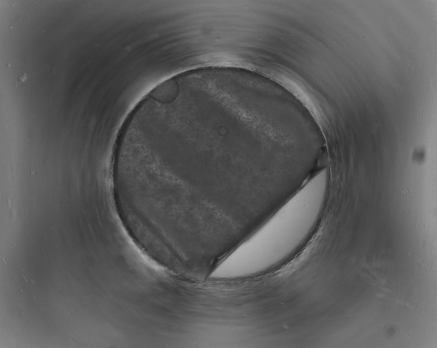 X0000093721141200711060931