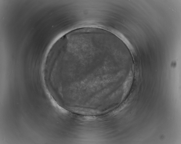 X0000093721144200711060931