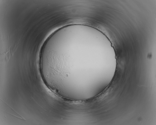 X0000093721147200711060931