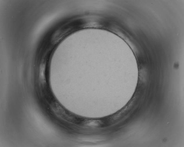 X0000093721150200711060931