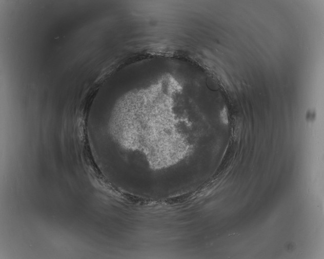 X0000093721154200711060931