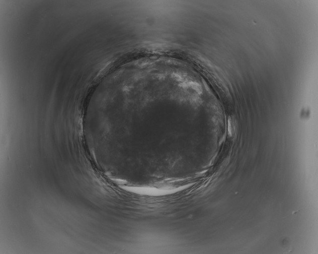 X0000093721155200711060931