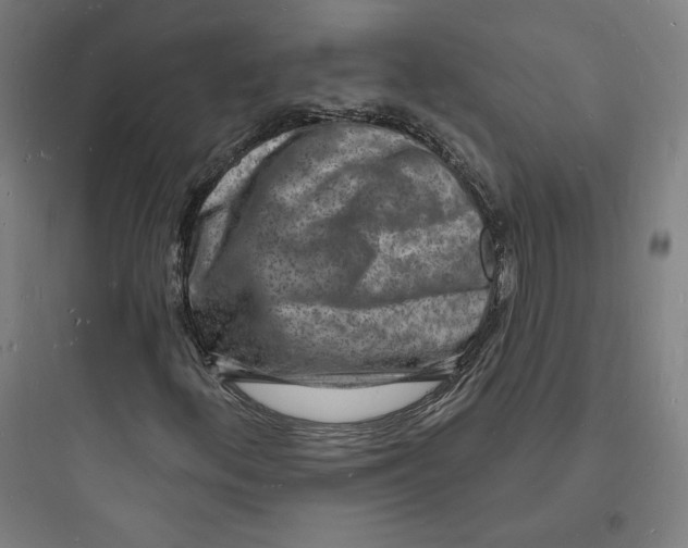 X0000093721156200711060931