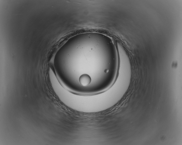 X0000093721157200711060931