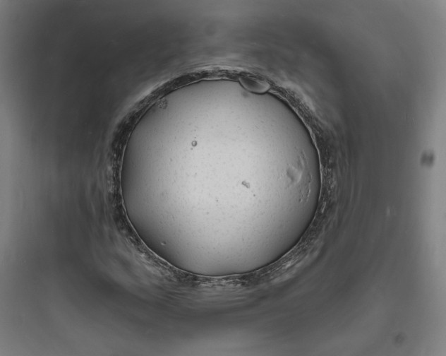 X0000093721159200711060931