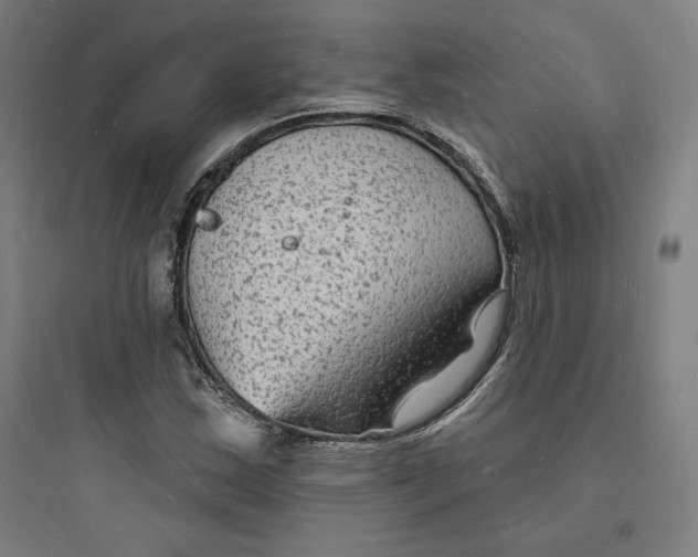 X0000093721163200711060930