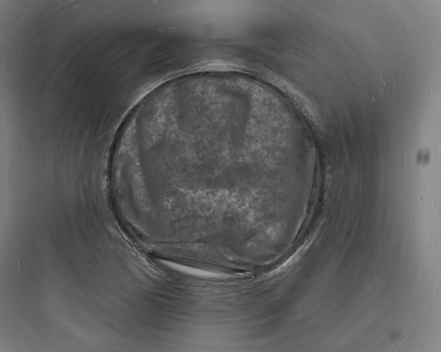 X0000093721170200711060930