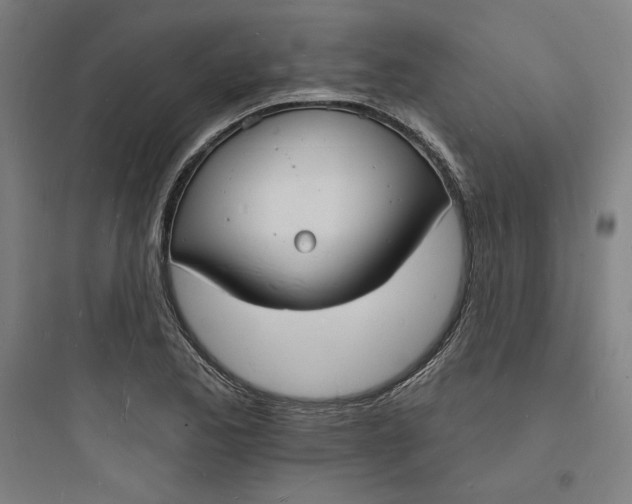 X0000093721173200711060930