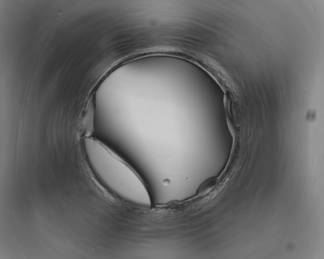 X0000093721177200711060930