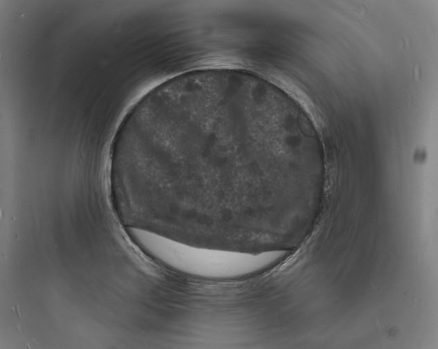 X0000093721179200711060930