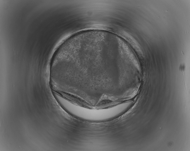 X0000093721180200711060930