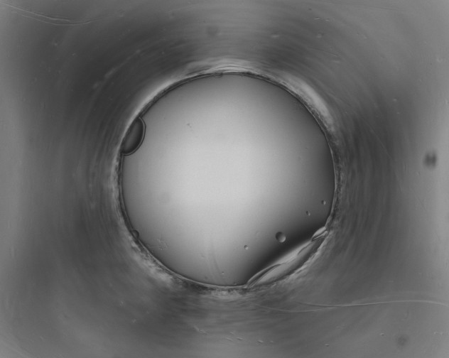 X0000093721190200711060930