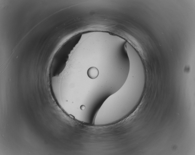 X0000093721192200711060930