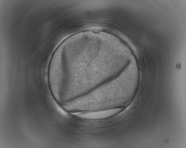 X0000093721194200711060930