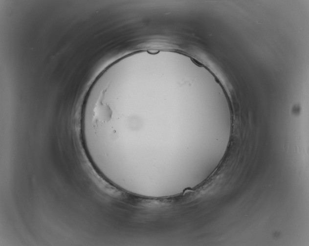 X0000093721195200711060930