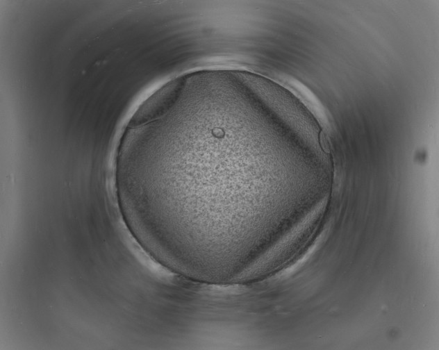 X0000093721196200711060930