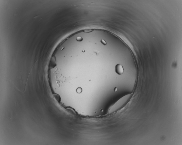 X0000093721197200711060930