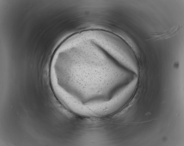 X0000093721198200711060930