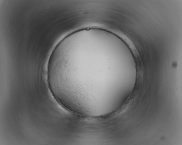 X0000093721199200711060930