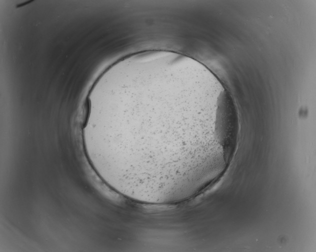 X0000093721200200711060930