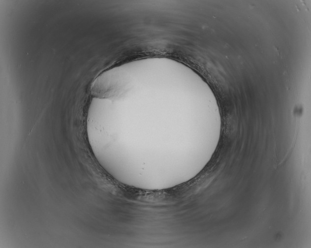 X0000093721201200711060929