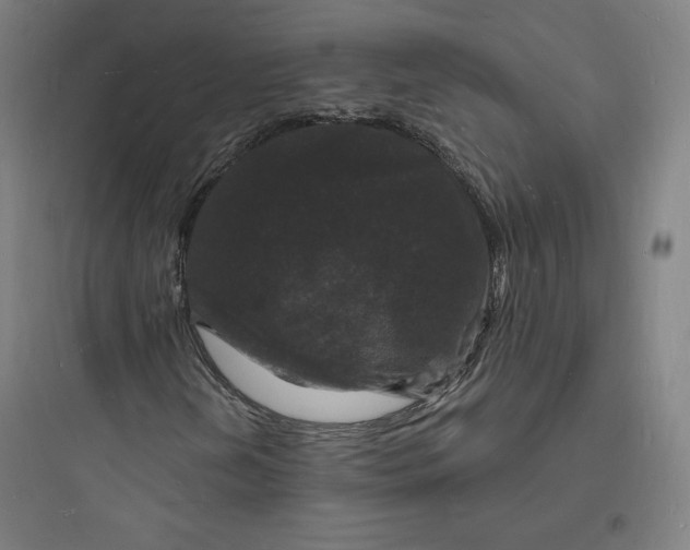 X0000093721202200711060929