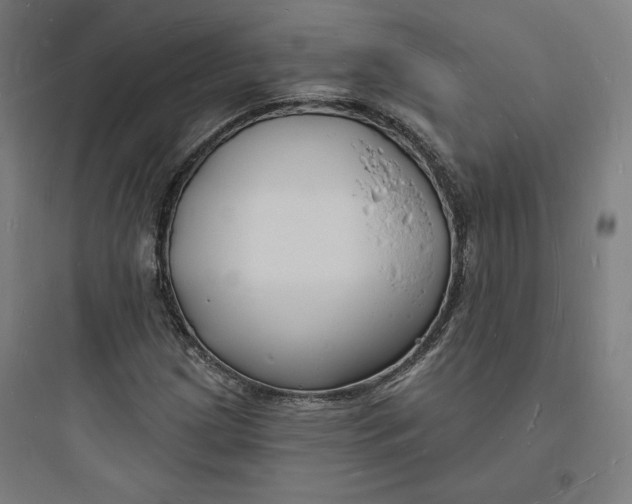 X0000093721209200711060929