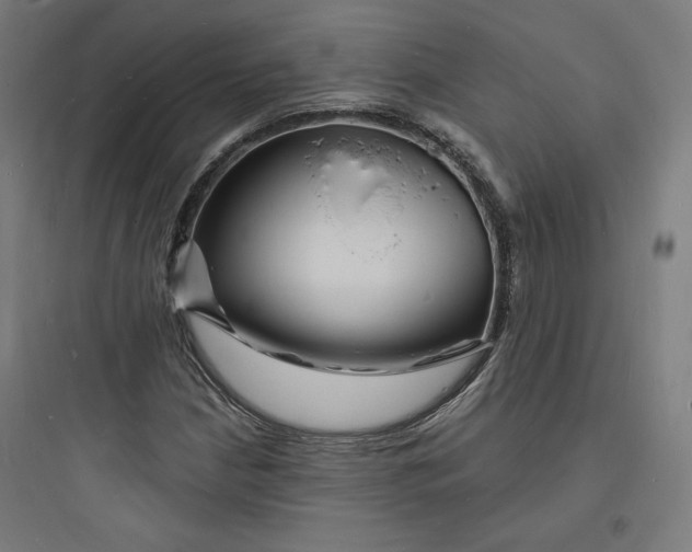 X0000093721210200711060929