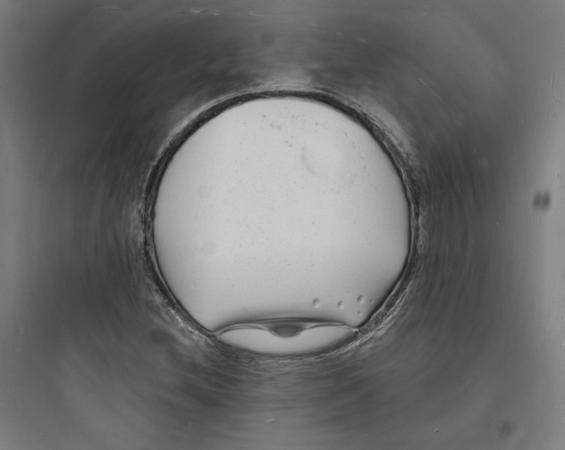 X0000093721212200711060929